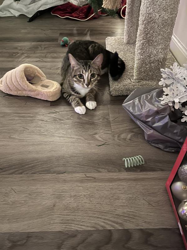 After playing for an hour he was worn out!