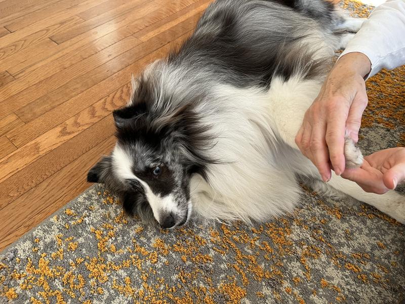 Rub in just a small amount so it absorbs.