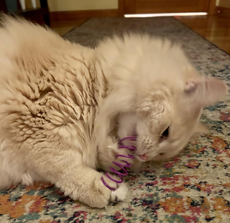 He loves these!