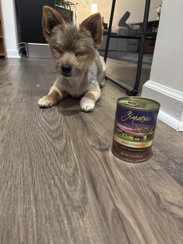 Pig is prepared for his breakfast :)