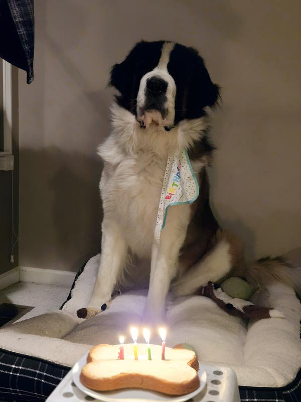 Norman's 4th Birthday