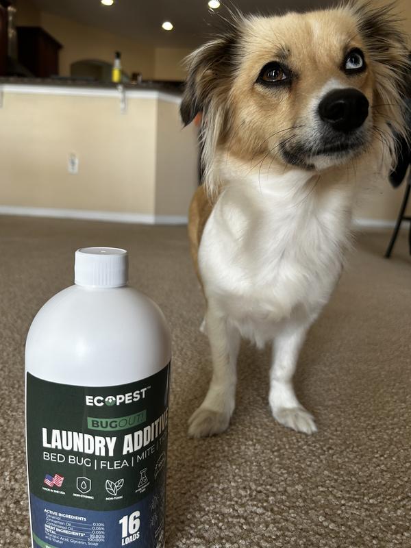 ECOPEST BugOut! Laundry Additive Dog & Cat Flea & Tick Treatment