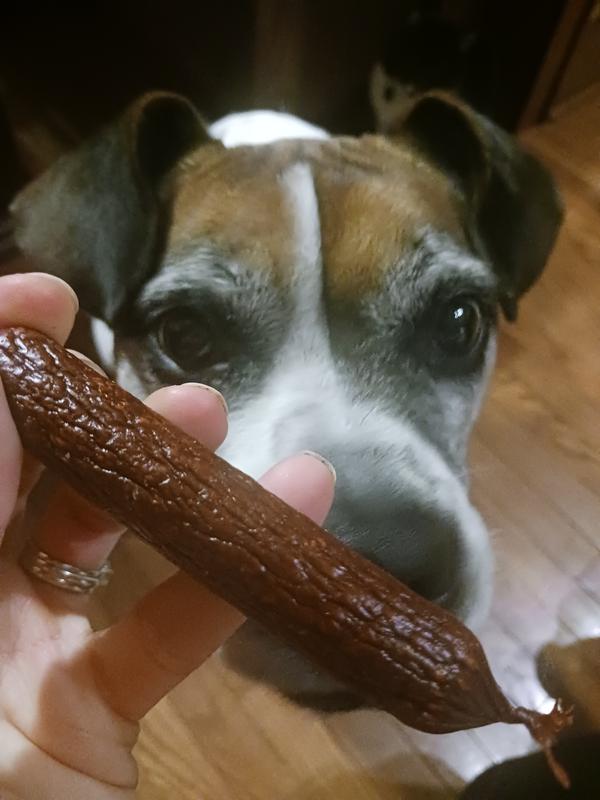 Dog wants to eat it right away