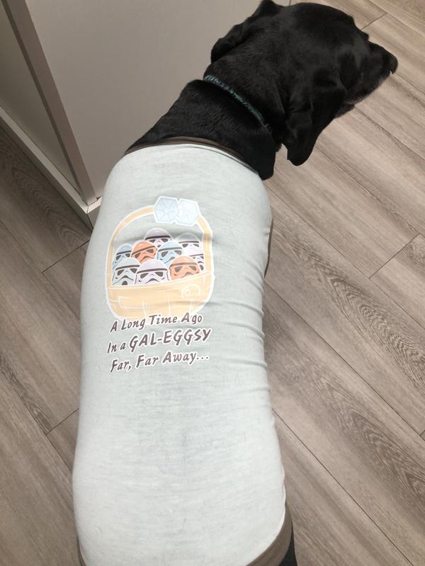 STAR WARS DEATH STAR Easter Basket Dog Cat T-Shirt, X-Large