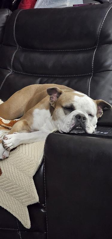 Relaxed after her treat
