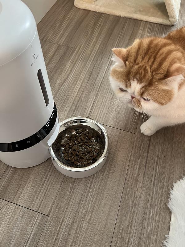 Geeni PetConnect Smart Pet Dog and Cat Feeder, 4 Liter