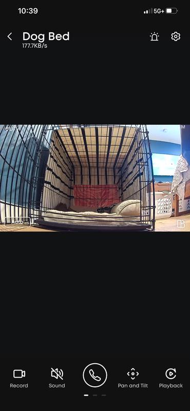 Display in camera (can tilt sideways)