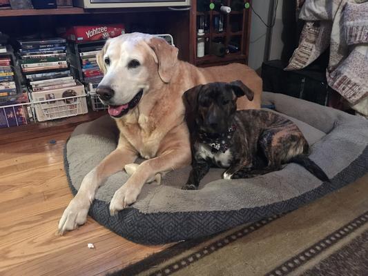 Besties now
