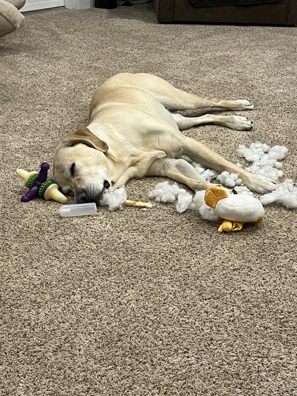 So much fun was had!