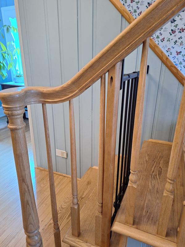 MYPET Windsor Walk Thru Swing Gate for Dogs & Cats