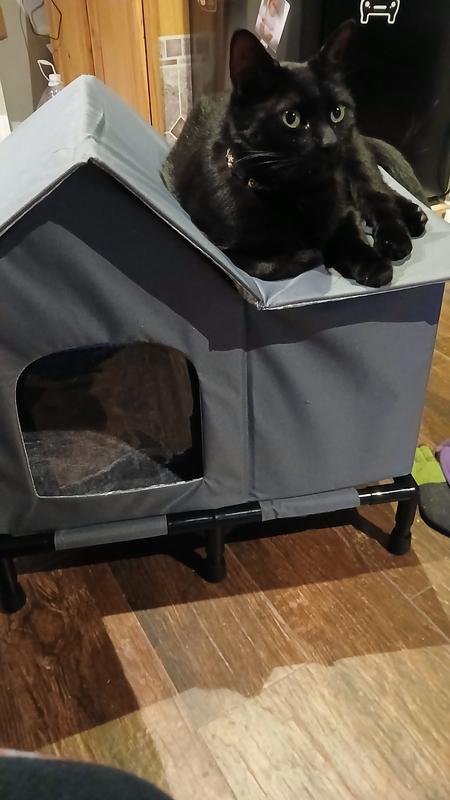 First thing he usually does is sit on top of everything