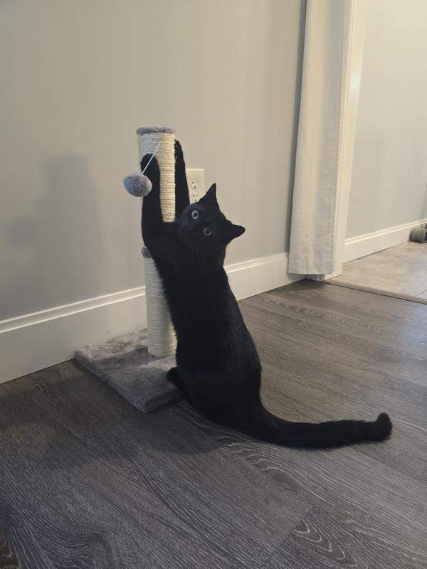 FRISCO 21in Sisal Cat Scratching Post with Toy, Coral, 1 count