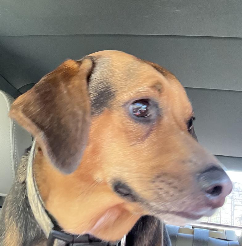 My chubby love bug!!