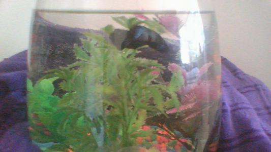 here he is!