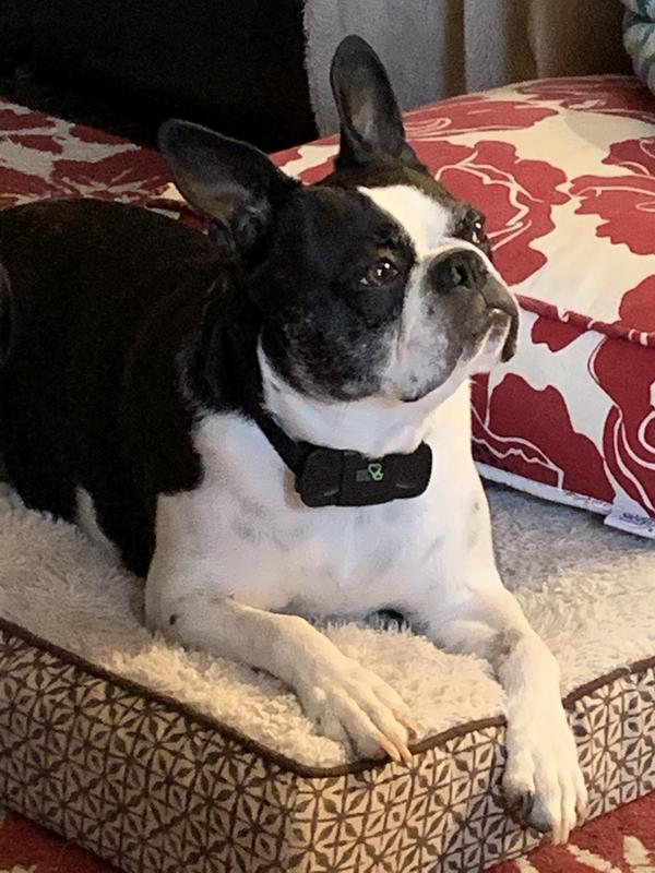 Molly Jane