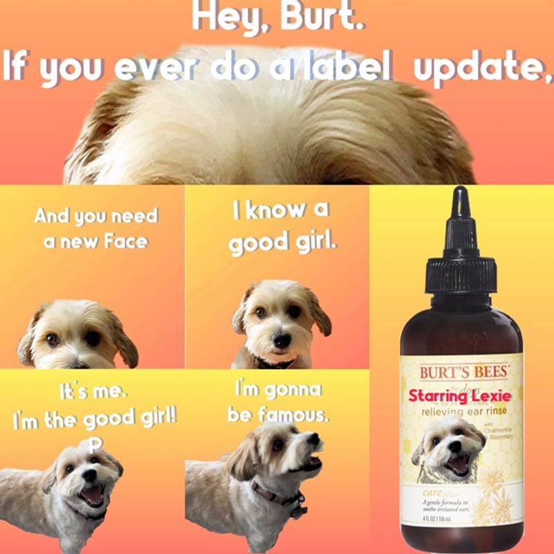 Burt's bees dog ear sales cleaner