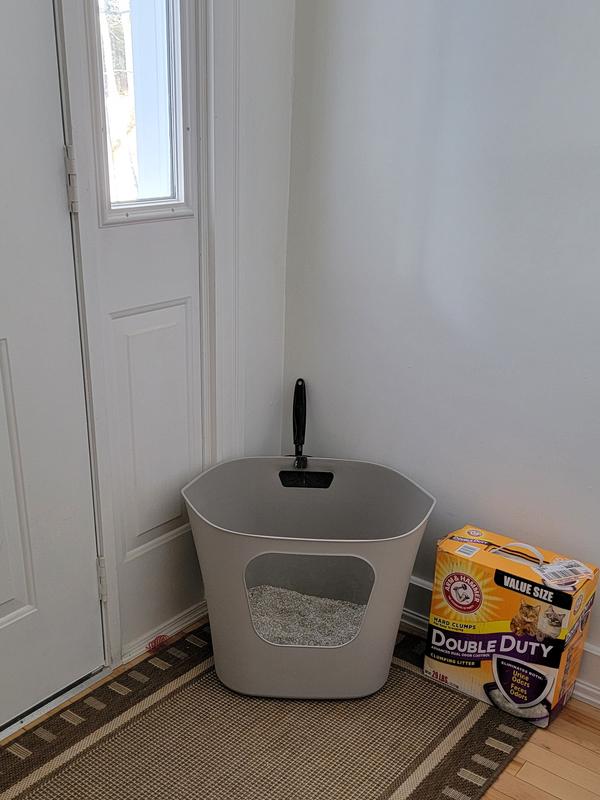FRISCO Leaf HighSided Cat Litter Box, Large, 21in Chewy Canada