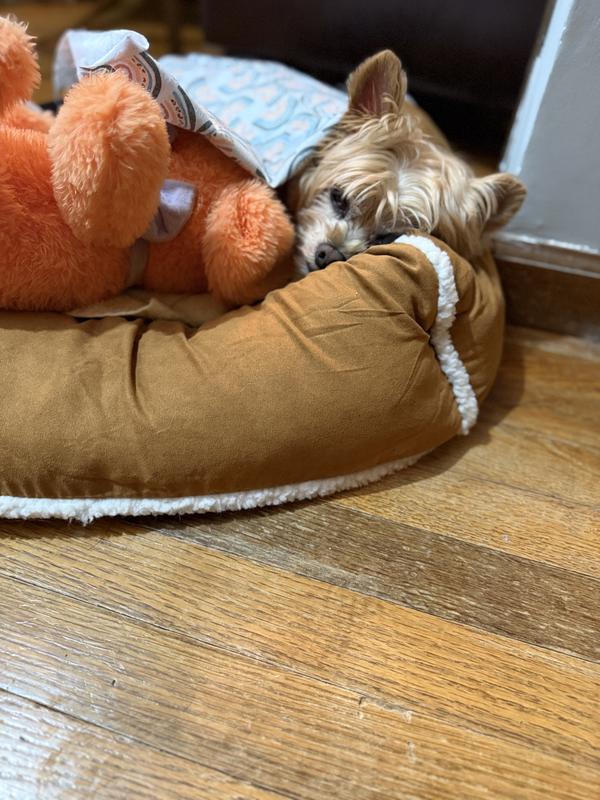 Happy pup all cozy in her new bed