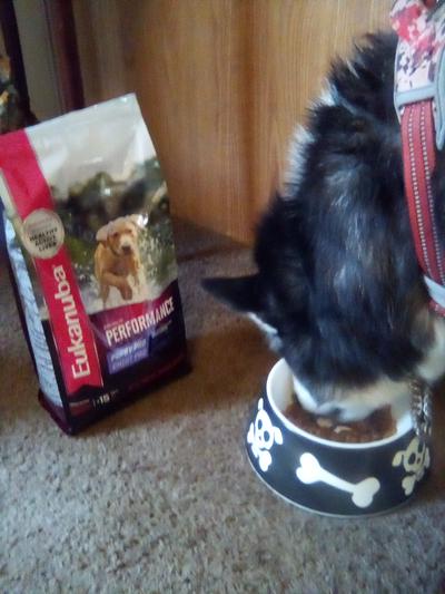 Munching down!