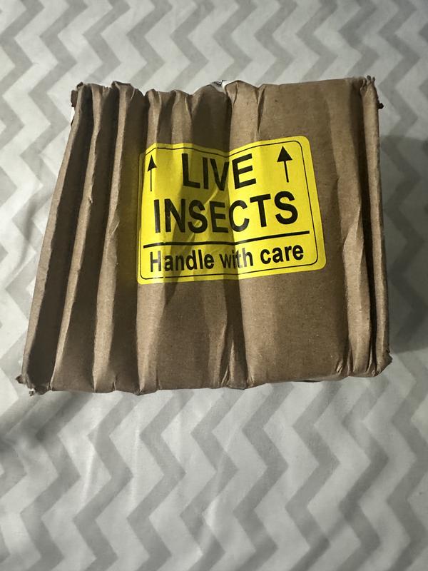 Damaged shipping box