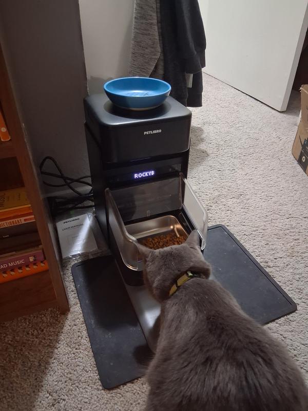 I scoop my food out of the dish-