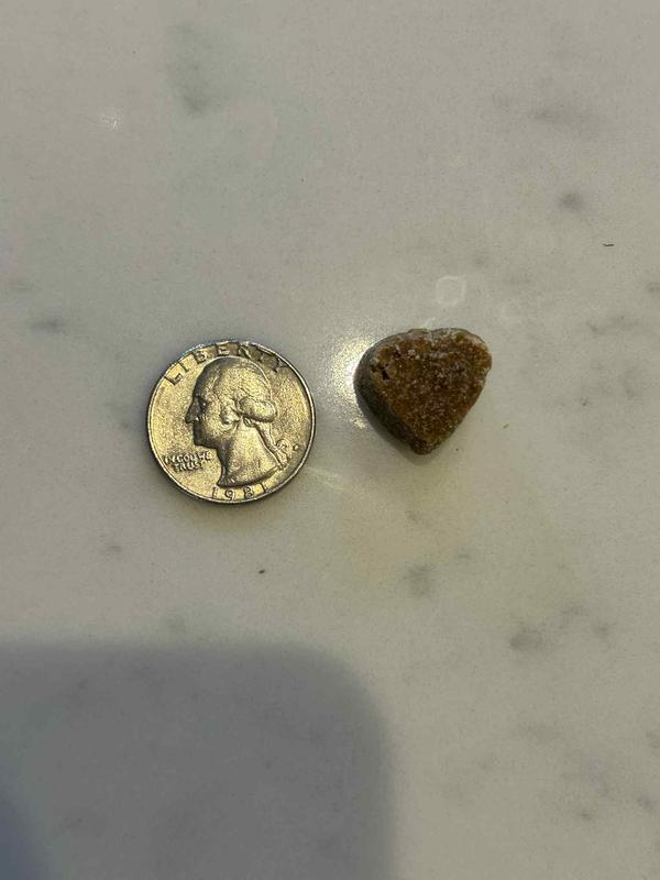 Perfect bite size for most dogs!