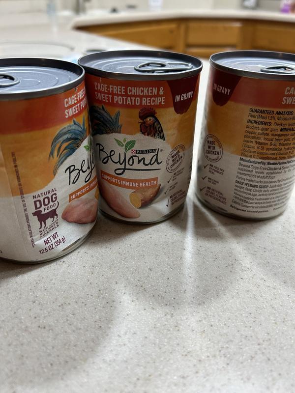 Purina beyond wet dog food review hotsell