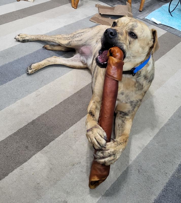 My big baby brother, Dawson. He bothers me when I do not want to play.