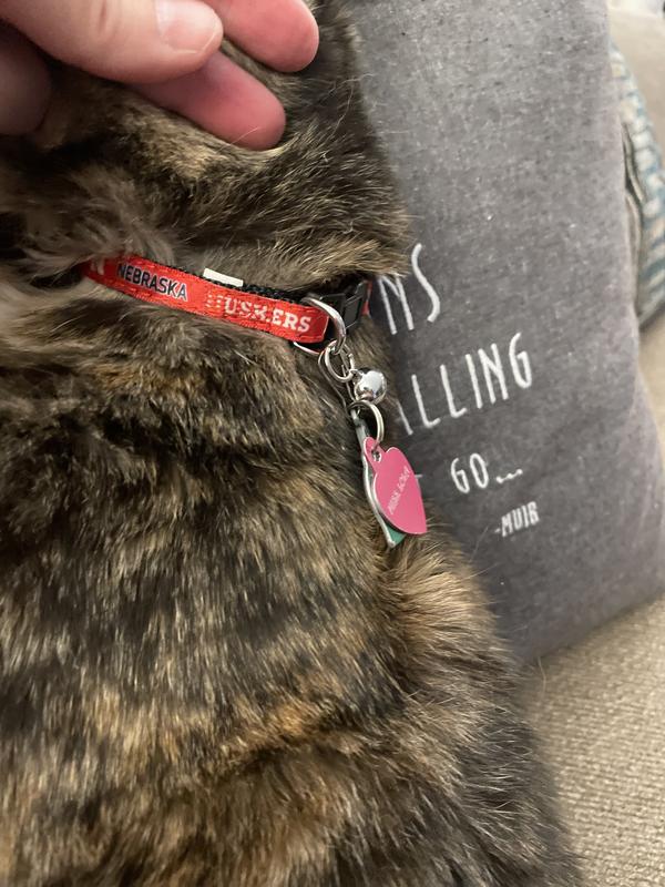 The quality on the collar looks really nice and Lola.