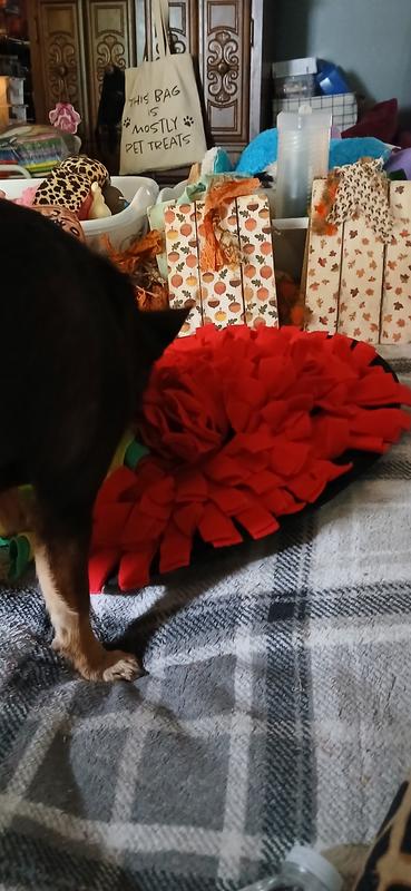 Wish it would be made a little harder to find treats,etc.. for longer entertainment.