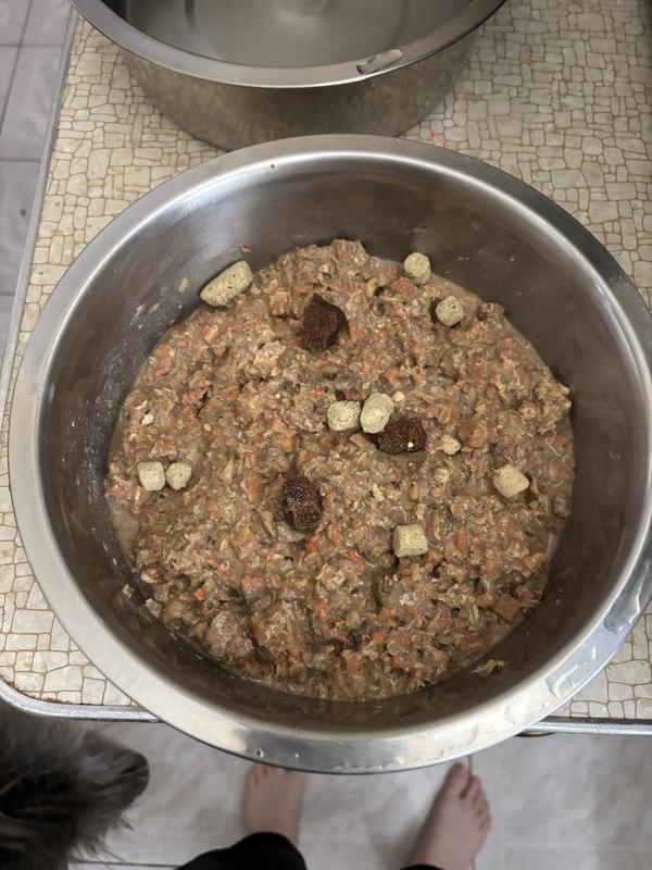 Food prepared and ready to eat