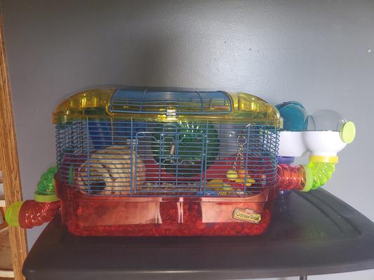 Placed them on both sides, one used to connect a hideout