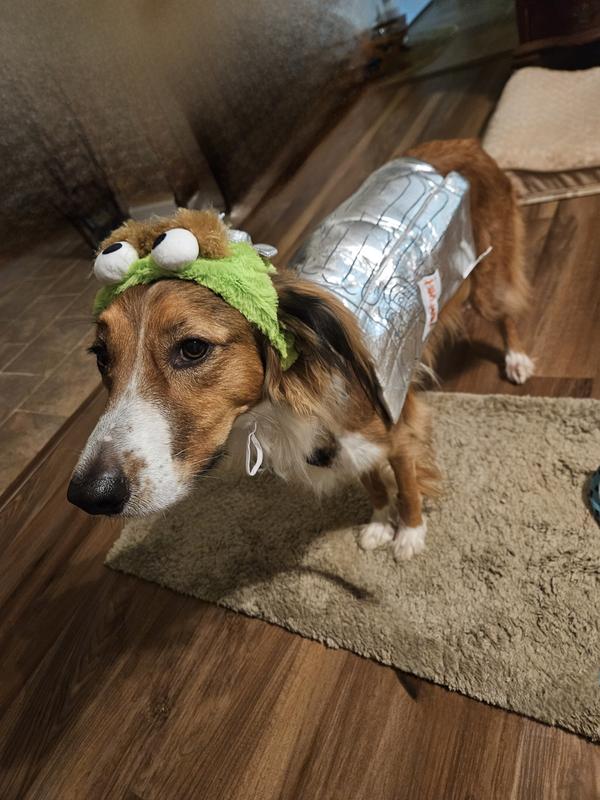 Darcy the Grouch, Do I have to wear the hat?