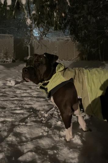 Lookin sharp in his new jacket