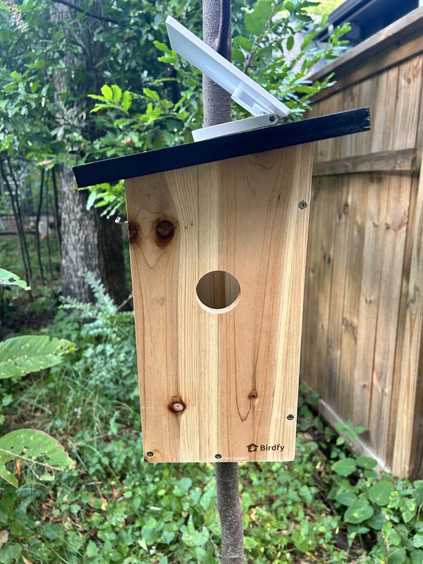 Installed on a small tree trunk