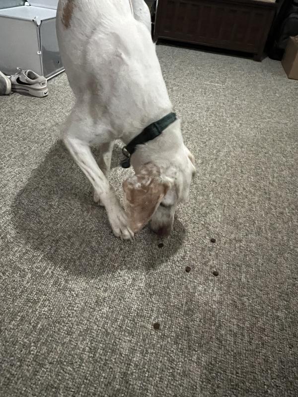 What’s this? Love it!