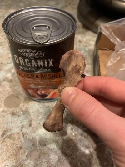 CASTOR POLLUX Organix Grain Free Butcher Bushel Organic Chicken Wing Thigh Dinner in Gravy Adult Canned Dog Food reviews Chewy