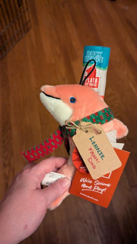 Fluff Tuff Toy with Thinkers Treat