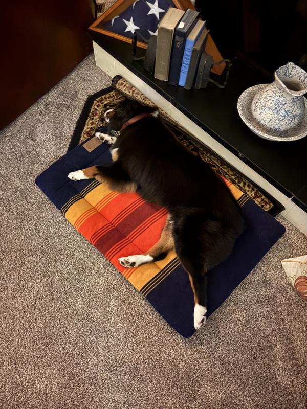 My girl loves it, super soft and just enough cushion.