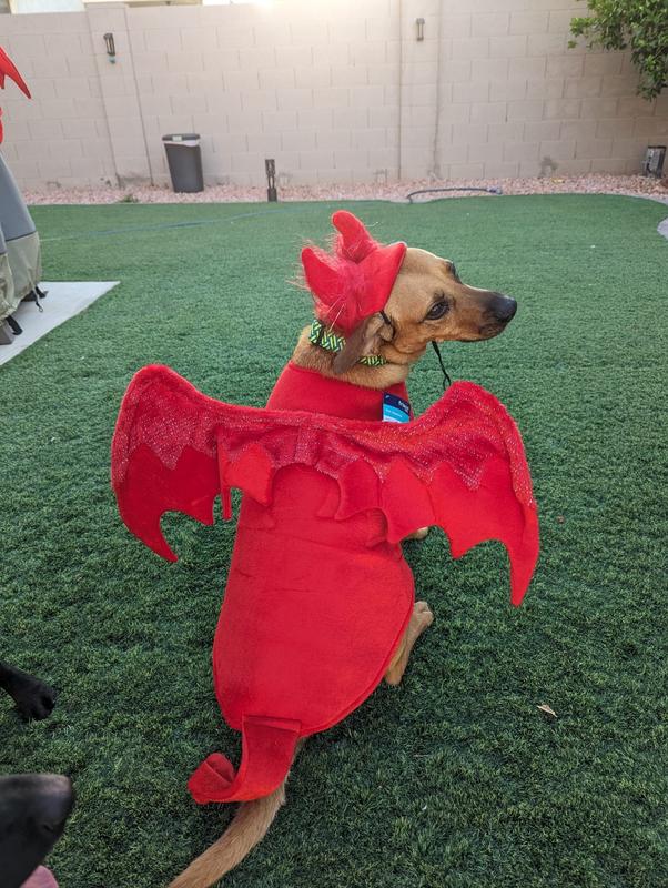 FRISCO My Little Devil Dog & Cat Costume Accessory, XLarge/XXLarge