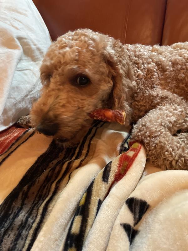 Brother enjoying his reward