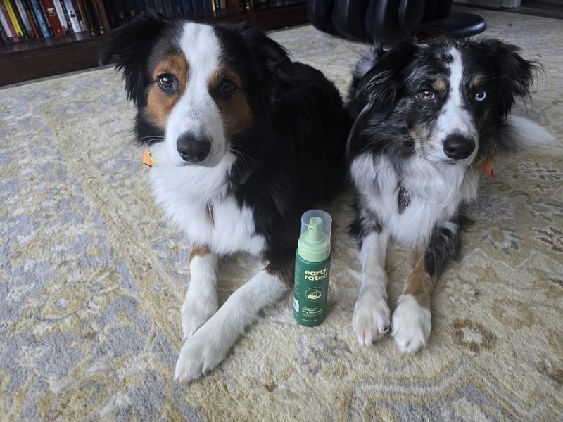 BARKBATH White Tea & Aloe No-Rinse Dog Shampoo, 20-oz bottle, 2 pack