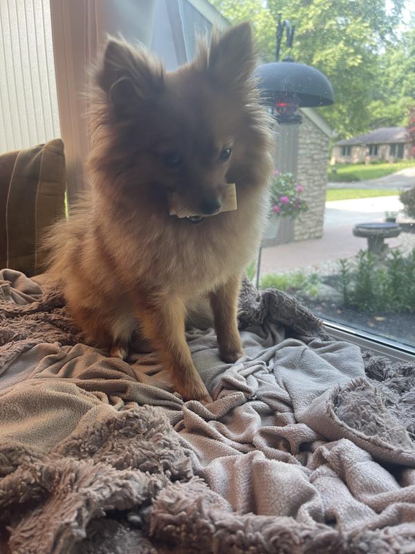 This will keep me busy!