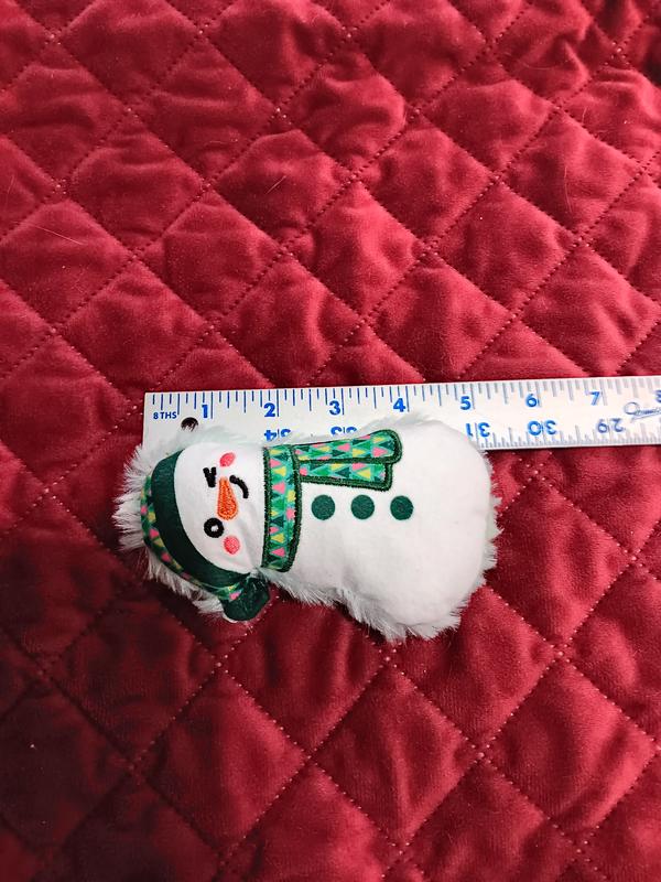 About 5 inches long, 2-3 inches wide