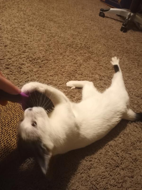 HARTZ Groomer's Best Combo Brush for Dogs & Cats