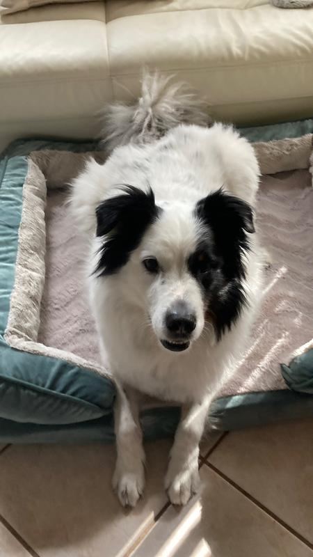 Phantom's Christmas Prezzie