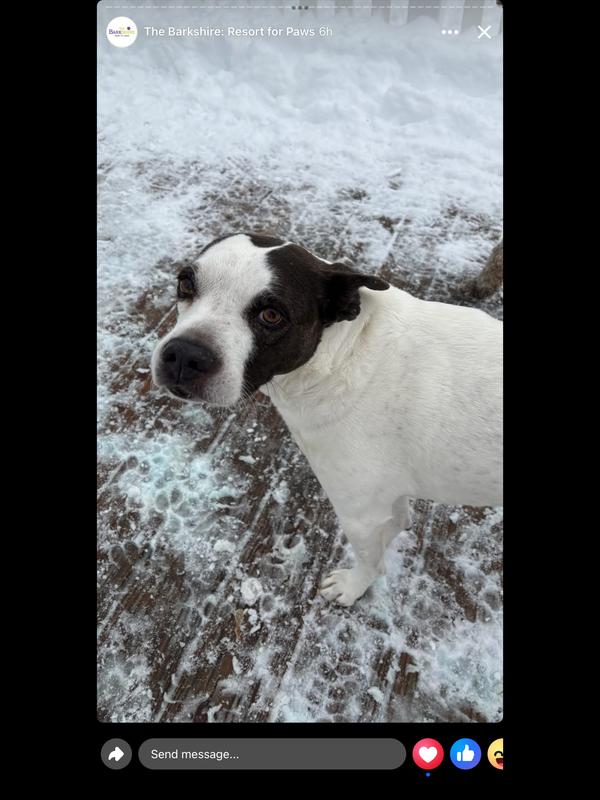 Layla loves the snow!