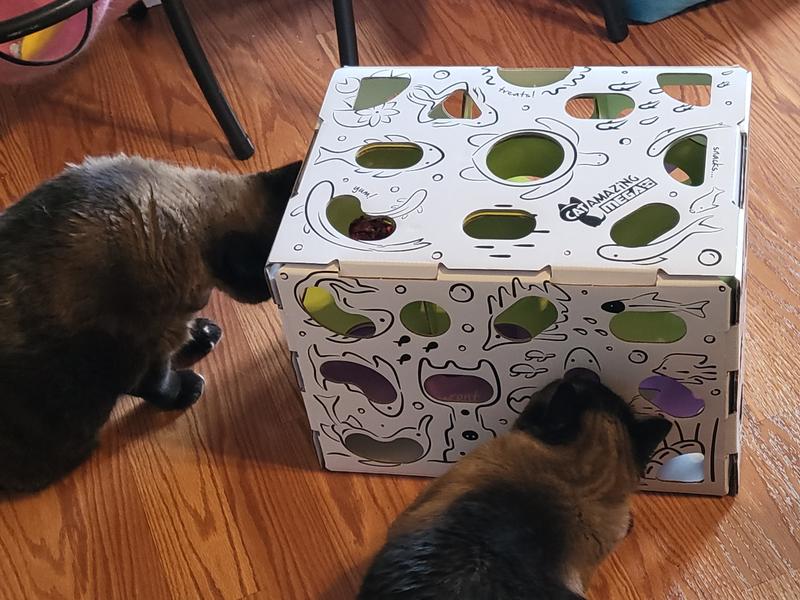  Cat Amazing MEGA – Cat Treat Puzzle Box – Interactive