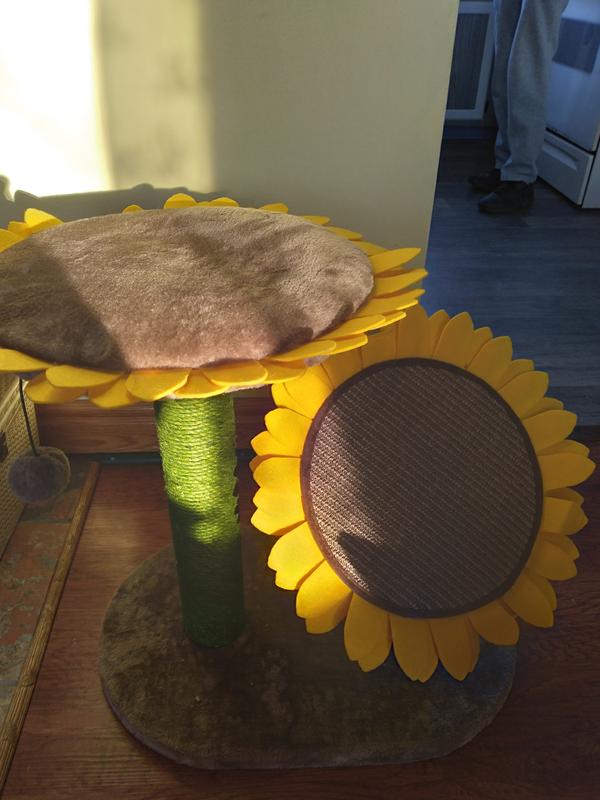 FRISCO Sunflower Cat Scratching Post, Two Post with Lounger