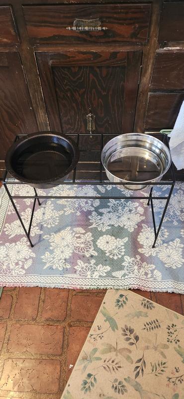 Platinum pets modern double diner clearance elevated wide rimmed pet bowls